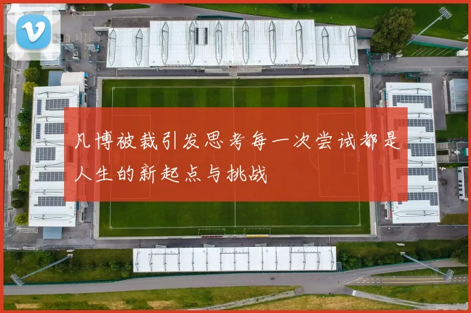 凡博被裁引发思考每一次尝试都是人生的新起点与挑战