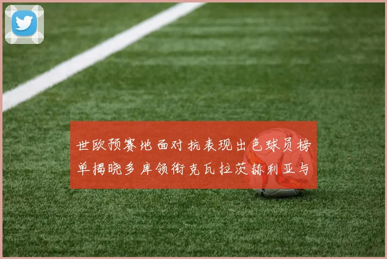 世欧预赛地面对抗表现出色球员榜单揭晓多库领衔克瓦拉茨赫利亚与布拉德利紧随其后